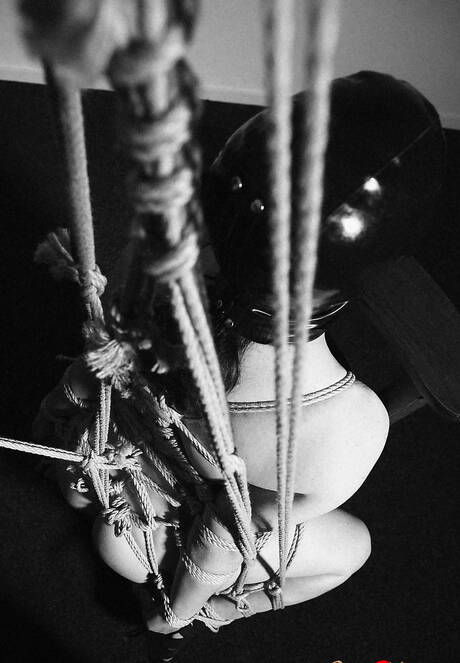 clubropemarks xxx photo collection featuring elegant woman in bound play